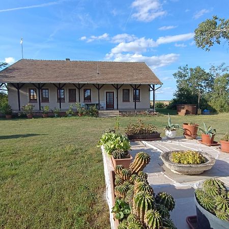 Ferienwohnung Napkelte Vendeghaz Szegedin Exterior foto